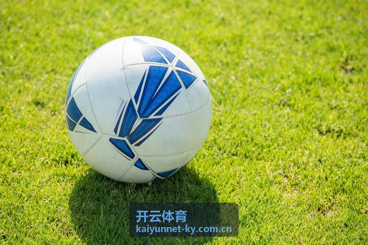 开云体育名家专栏专题入口封面